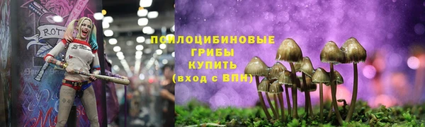 стафф Алексин