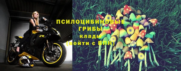 ALPHA PVP Алзамай